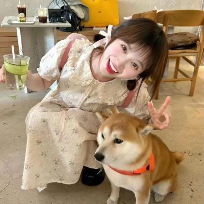 合约杀手