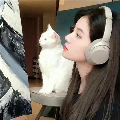 纽约爱未眠
